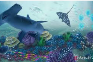 ky9555cc开元免费版